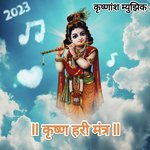 Krishna Hari Mantra - R Sandy Song Download