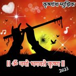 Om Namo Bhagavate Krishna - R Sandy Song Download